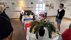 AGDE - Hommage aux Morts en Indochine - 071